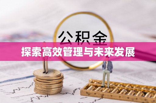 南沙探索高效管理与未来发展