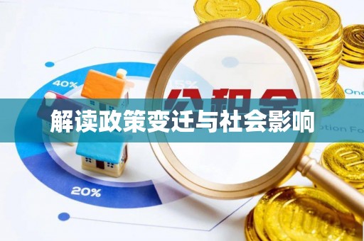 南沙解读政策变迁与社会影响