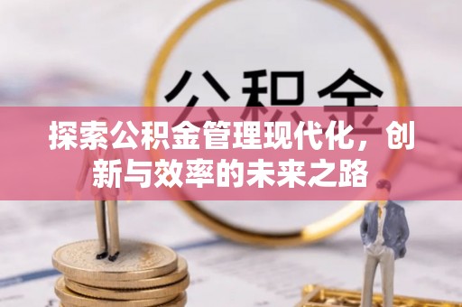 南沙探索公积金管理现代化，创新与效率的未来之路