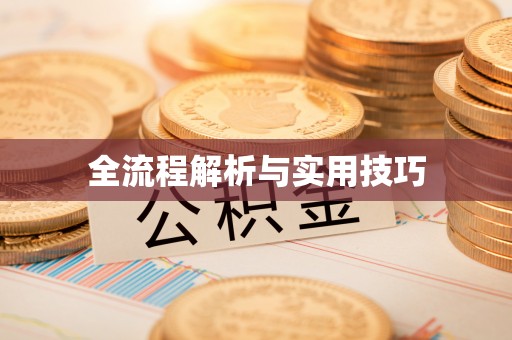 南沙全流程解析与实用技巧
