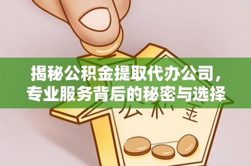 南沙揭秘公积金提取代办公司，专业服务背后的秘密与选择指南