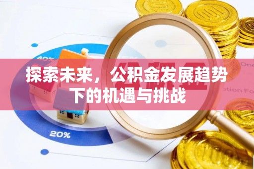 南沙探索未来，公积金发展趋势下的机遇与挑战