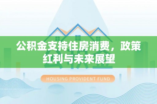 南沙公积金支持住房消费，政策红利与未来展望