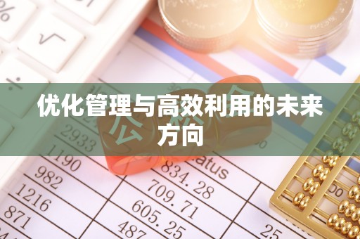 南沙优化管理与高效利用的未来方向