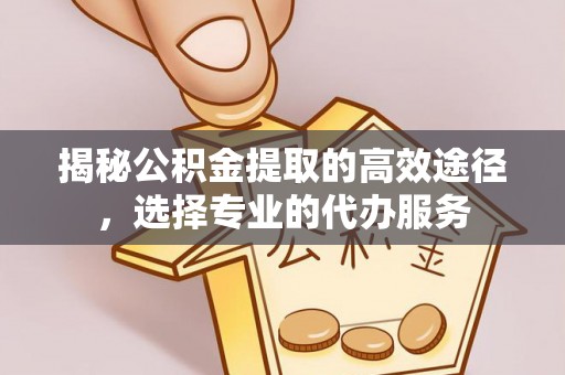 南沙揭秘公积金提取的高效途径，选择专业的代办服务