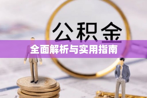 南沙全面解析与实用指南